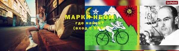 твердый Аркадак