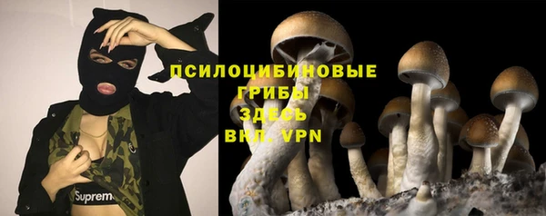 хмурый Армянск