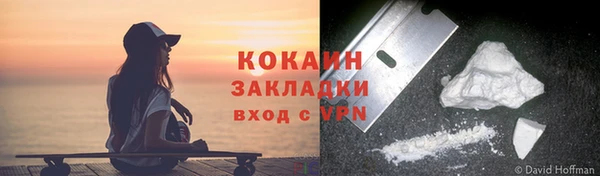 твердый Аркадак