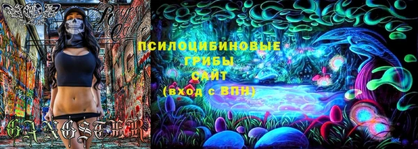 хмурый Армянск