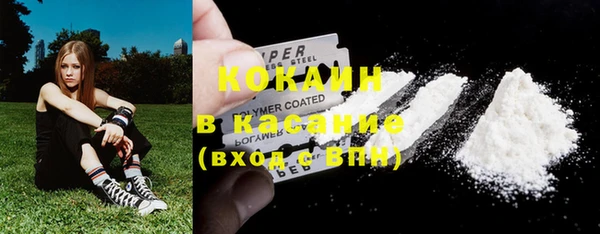 твердый Аркадак