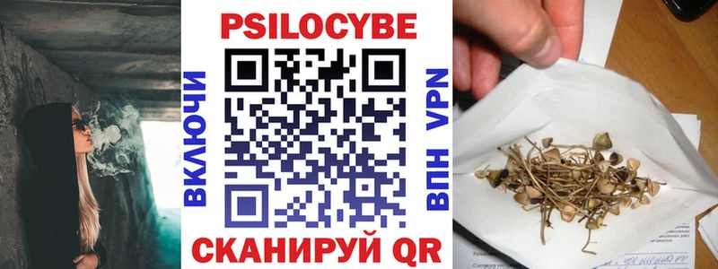 Галлюциногенные грибы Cubensis  Мурманск 