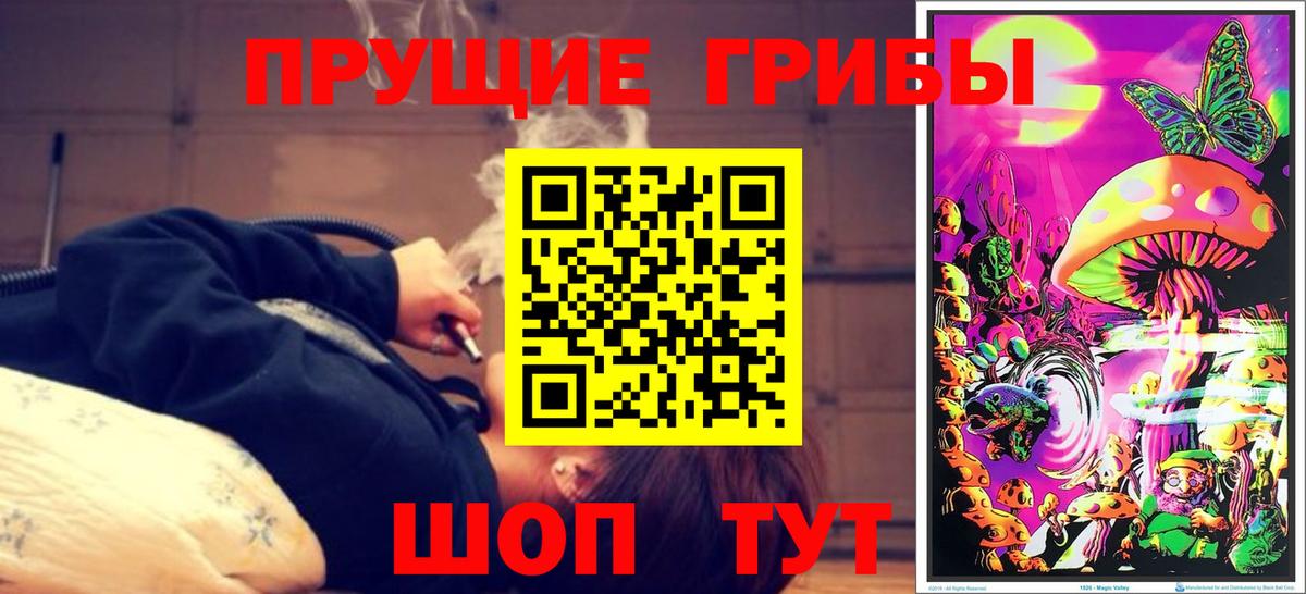Псилоцибиновые грибы прущие грибы Мурманск