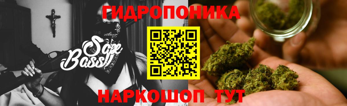 Каннабис OG Kush Мурманск